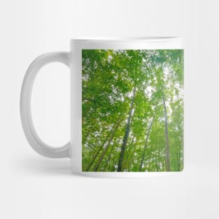 Blue Ridge Mountains Trees Mug